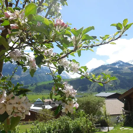 Διαμέρισμα Kitzblick